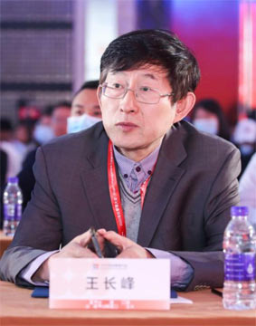 王长峰- 智慧重大工程管理/智慧应急管理专家-融合动力网